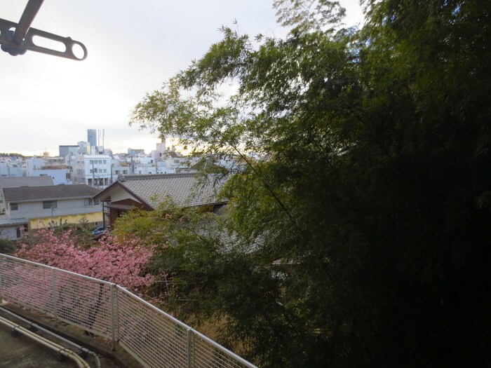 物件内観写真14　(室内からの展望)