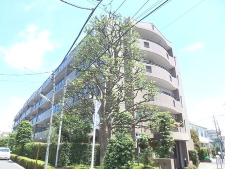 桜上水ハイム(502)外観写真