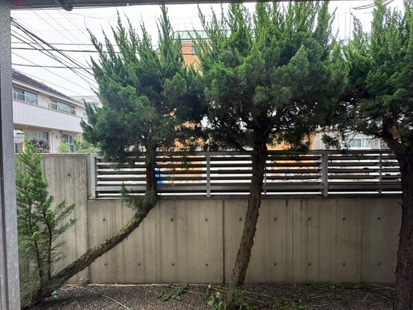 室内からの展望
