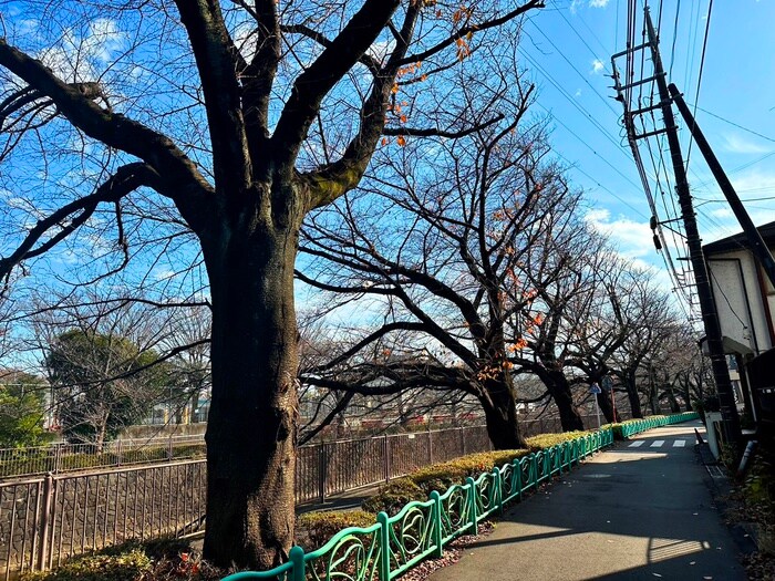 物件外観写真6　(その他)