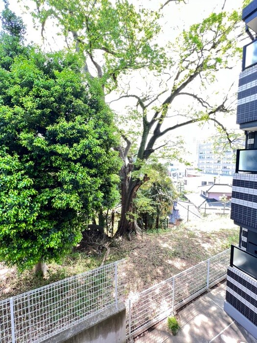 物件内観写真21　(室内からの展望)