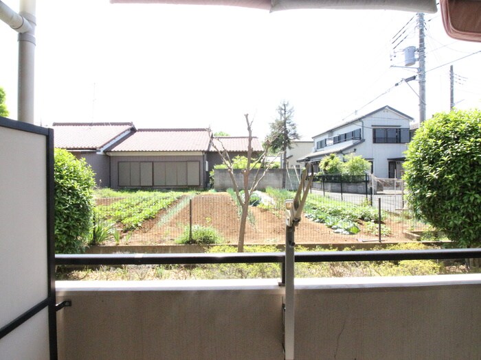 物件内観写真16　(室内からの展望)