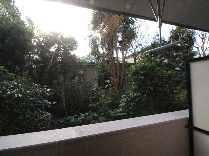 物件内観写真19　(室内からの展望)