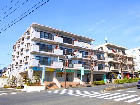 シャトレワン仲町台外観写真