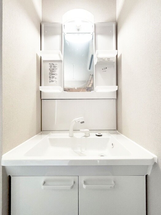 メゾンドゥモナリザの洗面