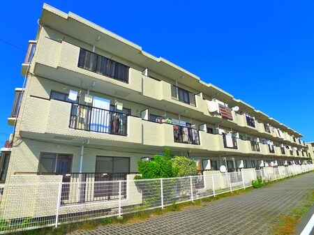 SUNCITY HIKOTA  A-3外観写真