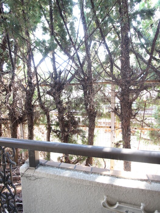 物件内観写真14　(室内からの展望)