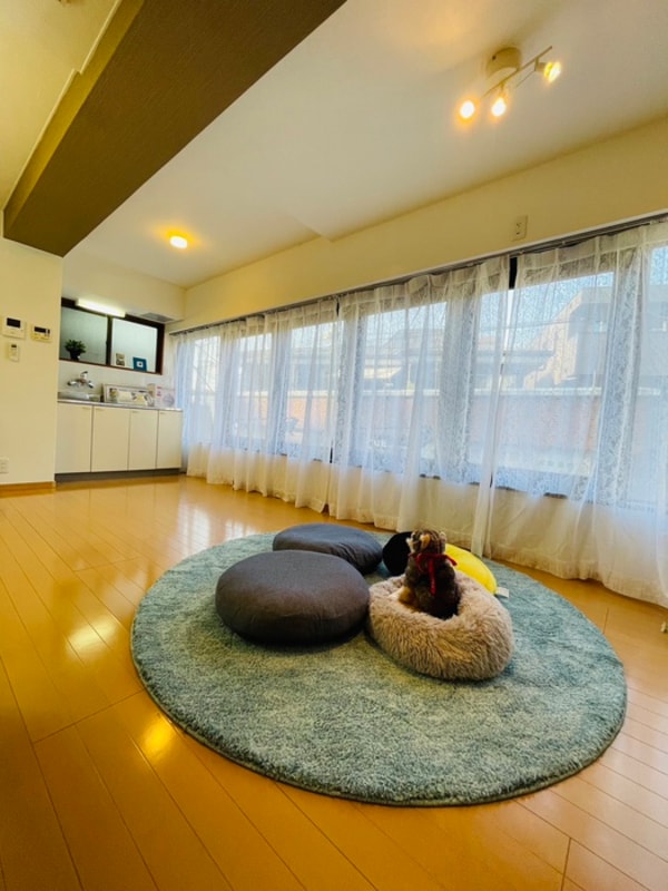 居室