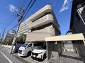 アドニス.パセニア