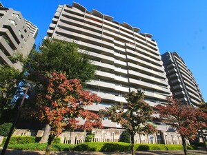 アイムふじみ野南二番館　(504)外観写真