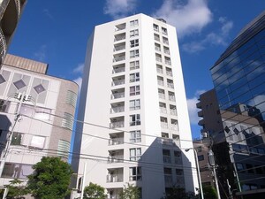 トゥールブランシュ麻布（401）外観写真