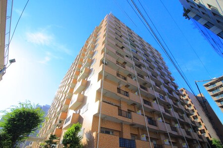 成増ロ－ヤルコ－ポ(805)外観写真