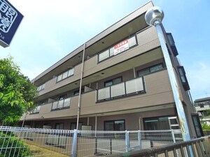 ﾋﾞﾂｸﾞｽﾄｰﾝ外観写真