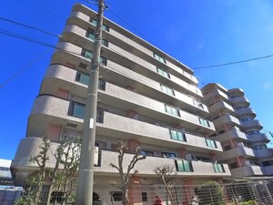 ﾗｲｵﾝｽﾞﾏﾝｼｮﾝ水元公園(206)外観写真
