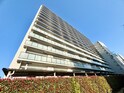 シティテラス松戸(1510)