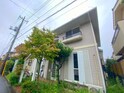 グリーンケーブル