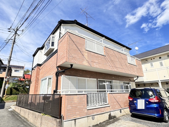コスモス