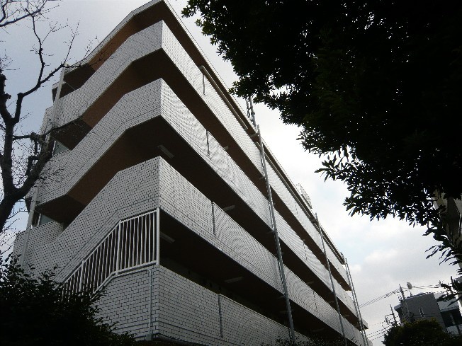 アマドリア豪徳寺(101)