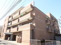 グレディチィア向ヶ丘