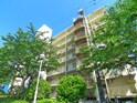 稲毛パイロットホーム7号棟(704)