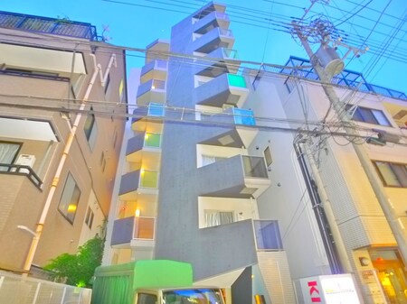 レオーネ金町(802)外観写真