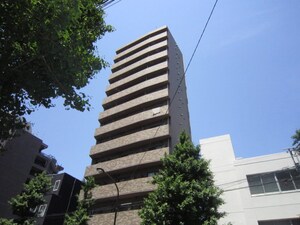 ﾄｰｼﾝﾌｪﾆｯｸｽ目白弐番館(303)外観写真