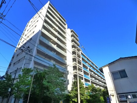 ﾌﾟﾗｳﾄﾞｼﾃｨ越中島ﾌﾞﾗｲﾄﾃﾗｽ外観写真