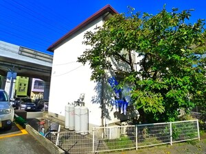 ハイツ清宮外観写真