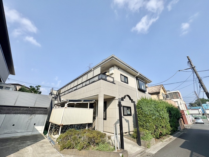 イルカコート