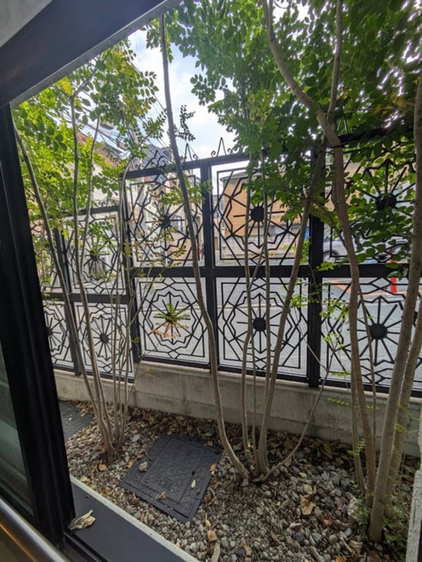 室内からの展望