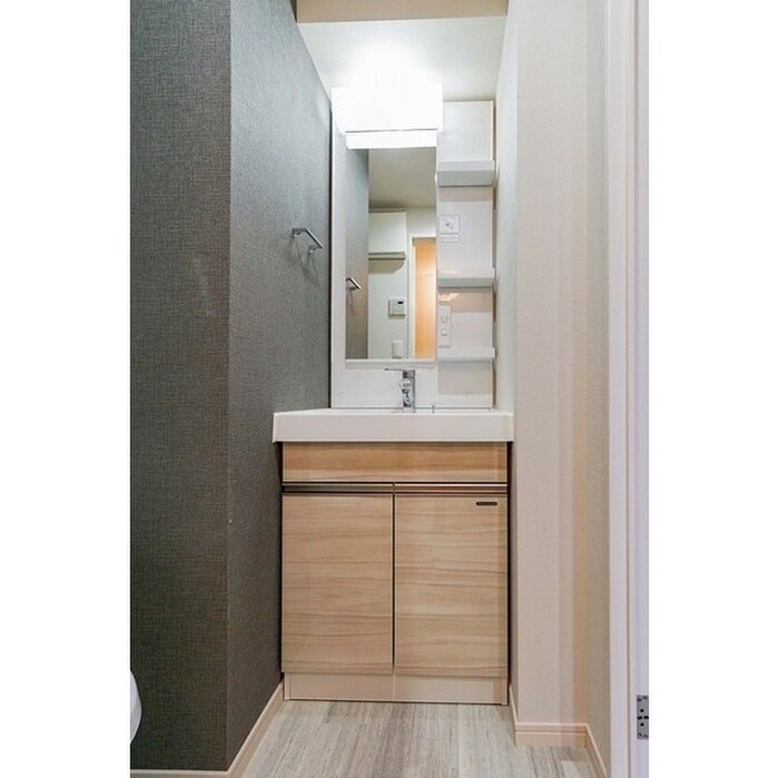 アルファコート草加２の洗面