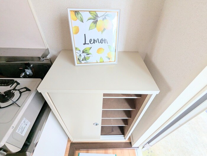 物件内観写真12　(靴箱)