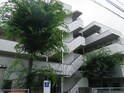 トップ大倉山(105)