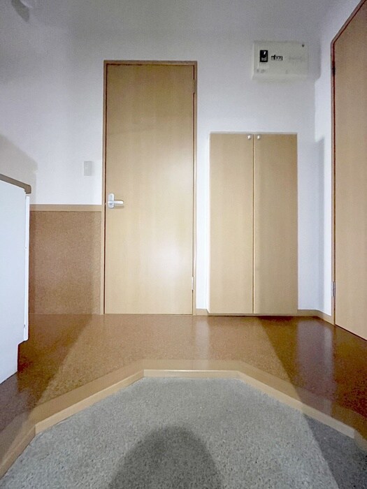 物件内観写真4　(玄関)
