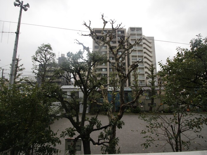 物件内観写真12　(室内からの展望)