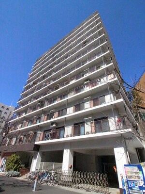 ﾗｲｵﾝｽﾞﾏﾝｼｮﾝ池田山（507）外観写真