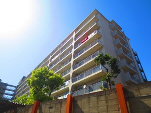 江戸川ハイツＡ棟（805）外観写真