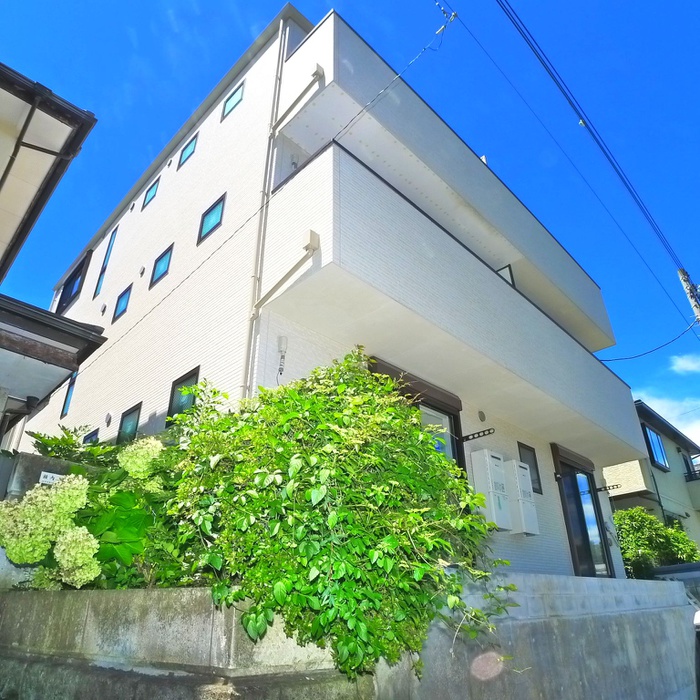 Ｎｉｒｖｉｉｎａ