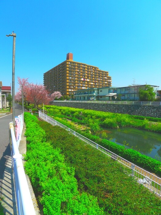 物件外観写真4　(周辺環境)