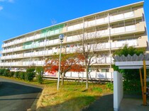 ビレッジハウス上尾向原3号棟の外観写真