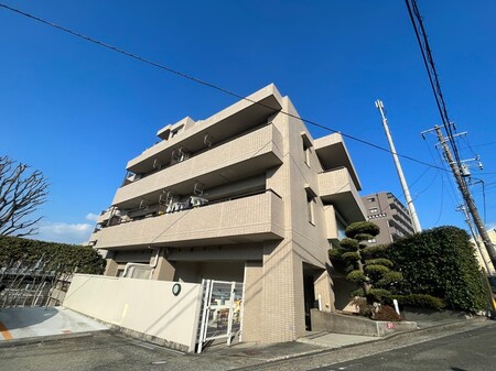 ｴｽﾎﾟﾘｰﾇ保土ヶ谷ﾊｲﾗｲｽﾞ（501）外観写真