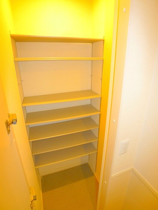 物件内観写真19　(靴箱)