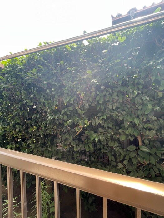 物件内観写真16　(室内からの展望)