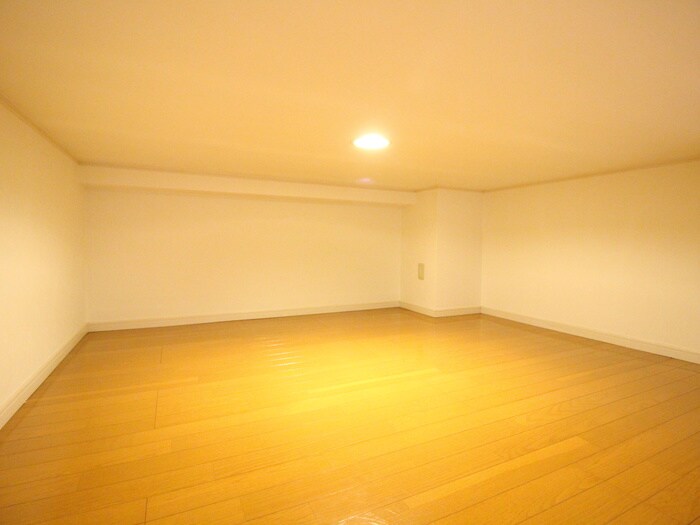 物件内観写真9　(ロフト)