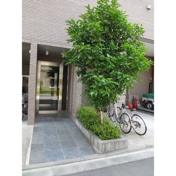 エントランス部分