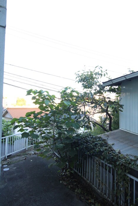 物件内観写真17　(室内からの展望)