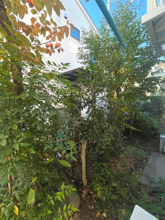 物件内観写真17　(室内からの展望)