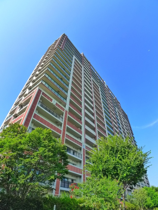 ｻﾞ･ﾌｫﾚｽﾄﾚｼﾞﾃﾞﾝｽﾌﾞﾗｲﾄﾘｰﾌ(1903)