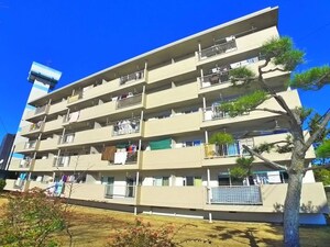 稲毛海岸3丁目団地3号棟（501）外観写真