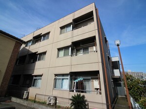 越谷鵜飼ハイツ外観写真